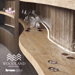 274613787_141151338381730_2118829193352665961_n