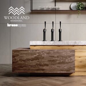 275305704_143865684776962_5517250412305941260_n